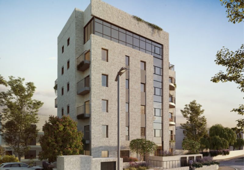 תמונה פרויקט במבי